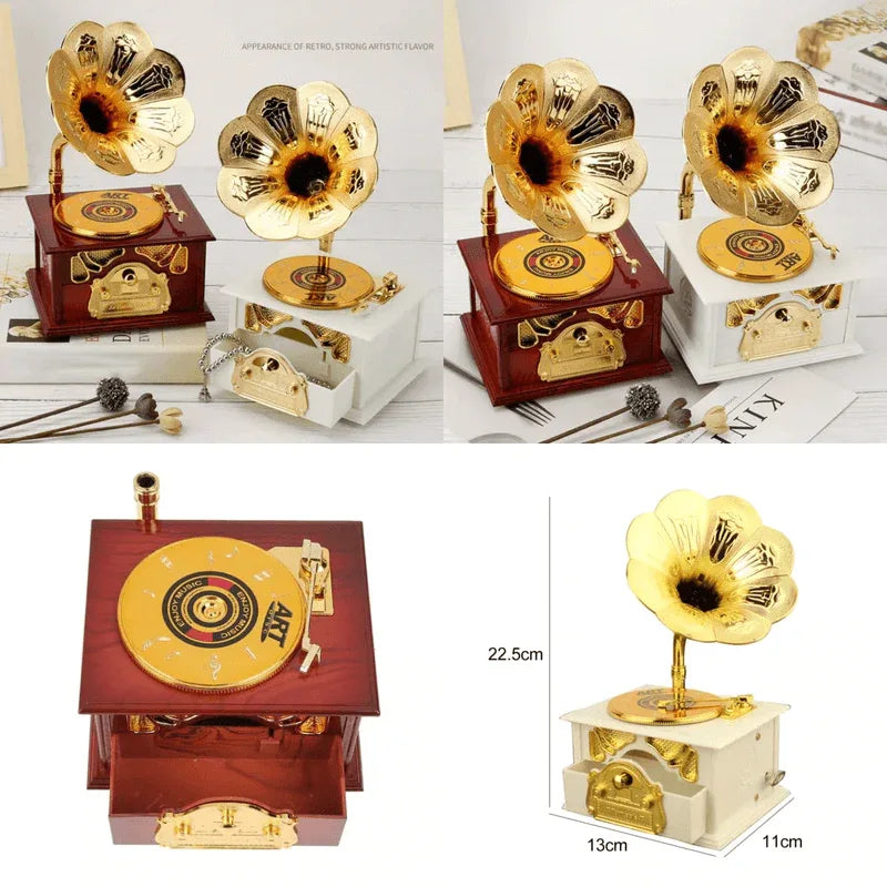 Gramophone style music storage box - Prozone