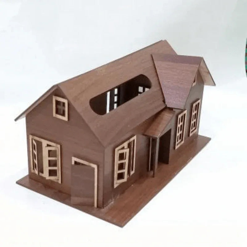 Wooden tissue box house shape unique design - Prozone