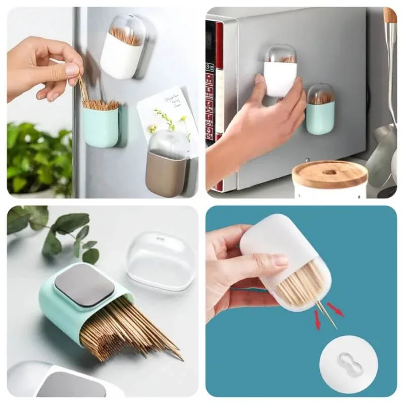 Magnetic toothpick holder case - Prozone