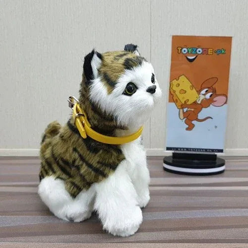 punched face persian cat (black & green) - Prozone