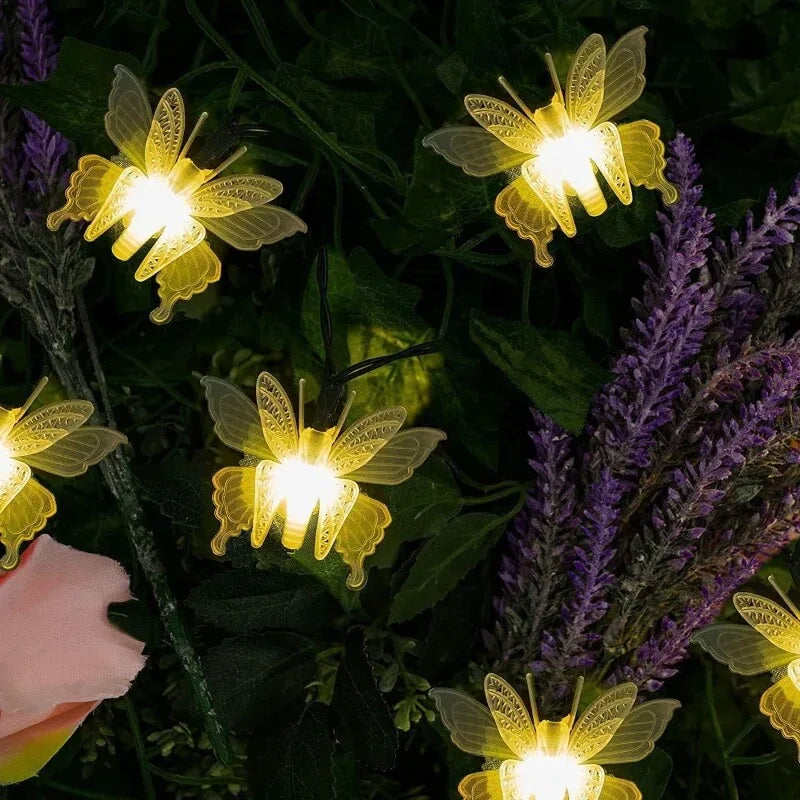 10 led butterfly fairy lights - Prozone