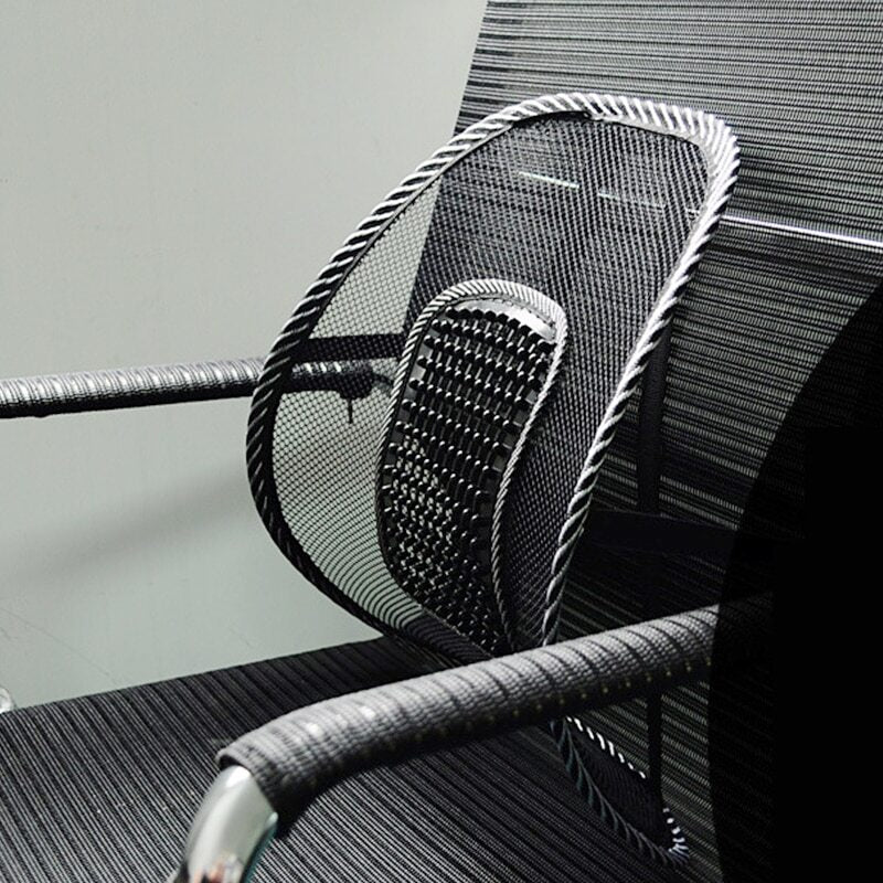 Car back support chair - Prozone