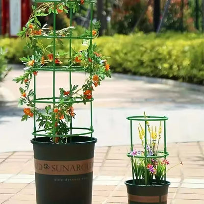 Plant Support Garden Stake Half Round Flower Climbing Trelli - Prozone