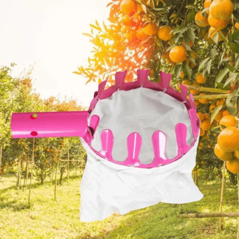 Round fruit picker - Prozone