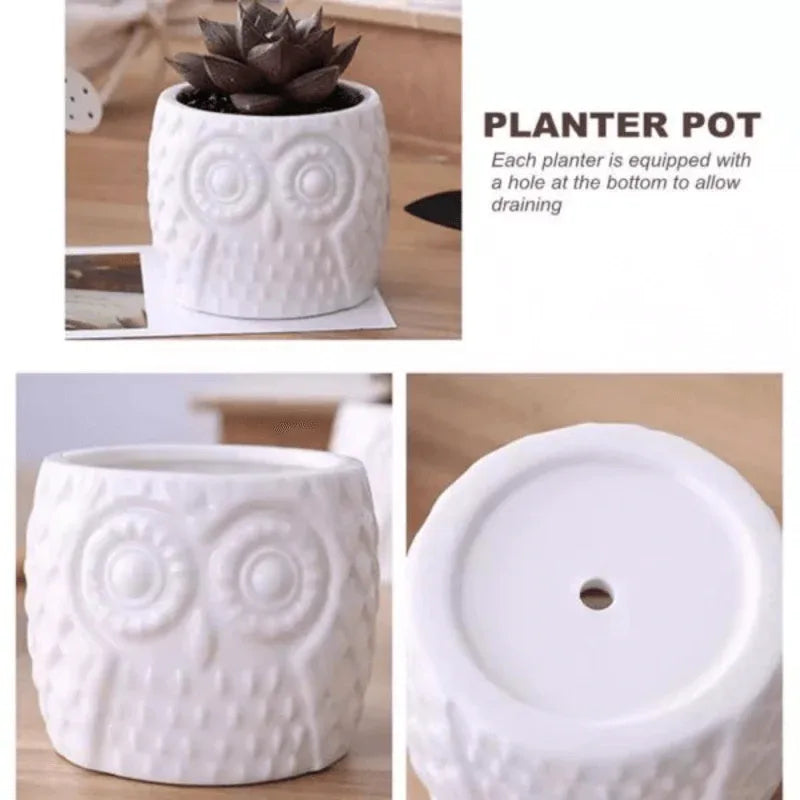Owl pattern flowerpot - Prozone