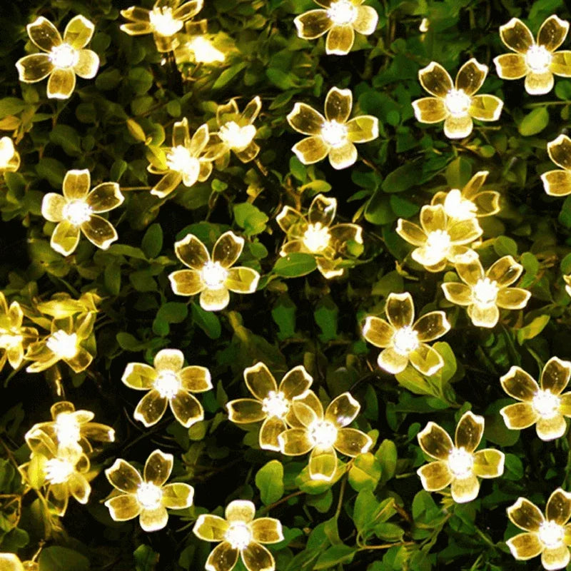 Cherry sakura blossom flower string lights - Prozone