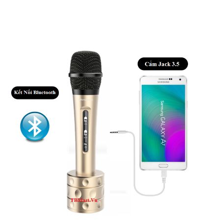 Microphone cordless karaoke with mic - Prozone