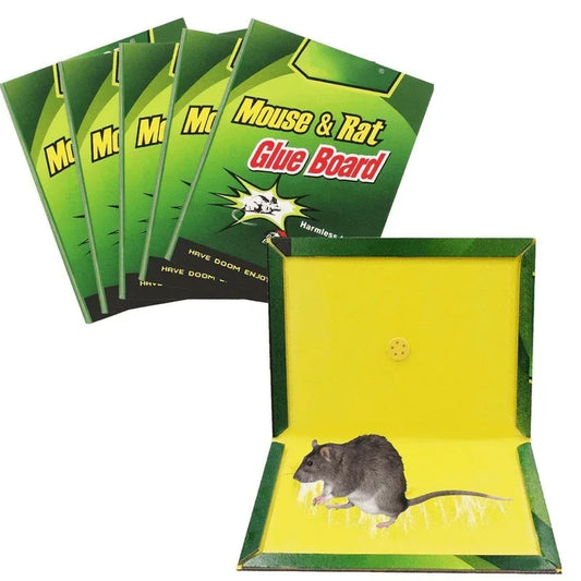 Mouse trap pack of 10 - Prozone