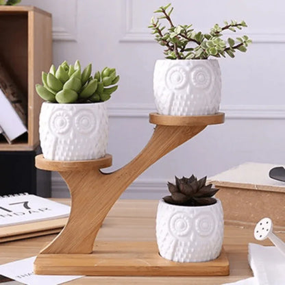 Owl pattern flowerpot - Prozone
