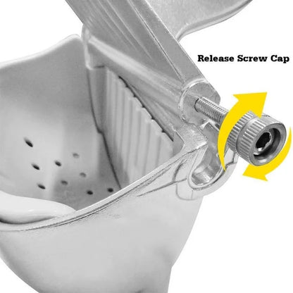 Aluminum alloy manual fruit juicer - Prozone