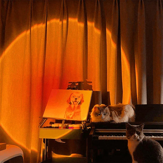 Sunset led projection night light - Prozone