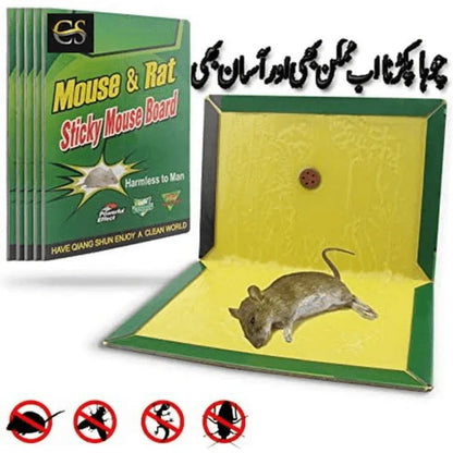 Mouse trap pack of 10 - Prozone