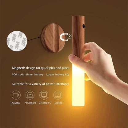 Intelligent induction light - Prozone