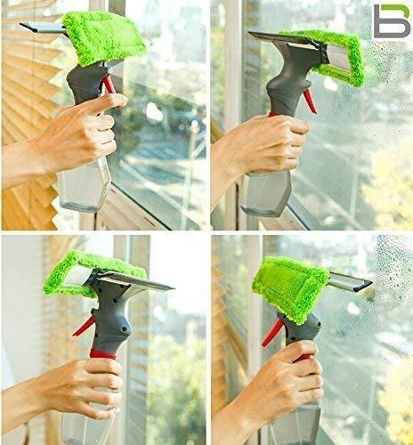 Window cleaner with spray bottle - Prozone