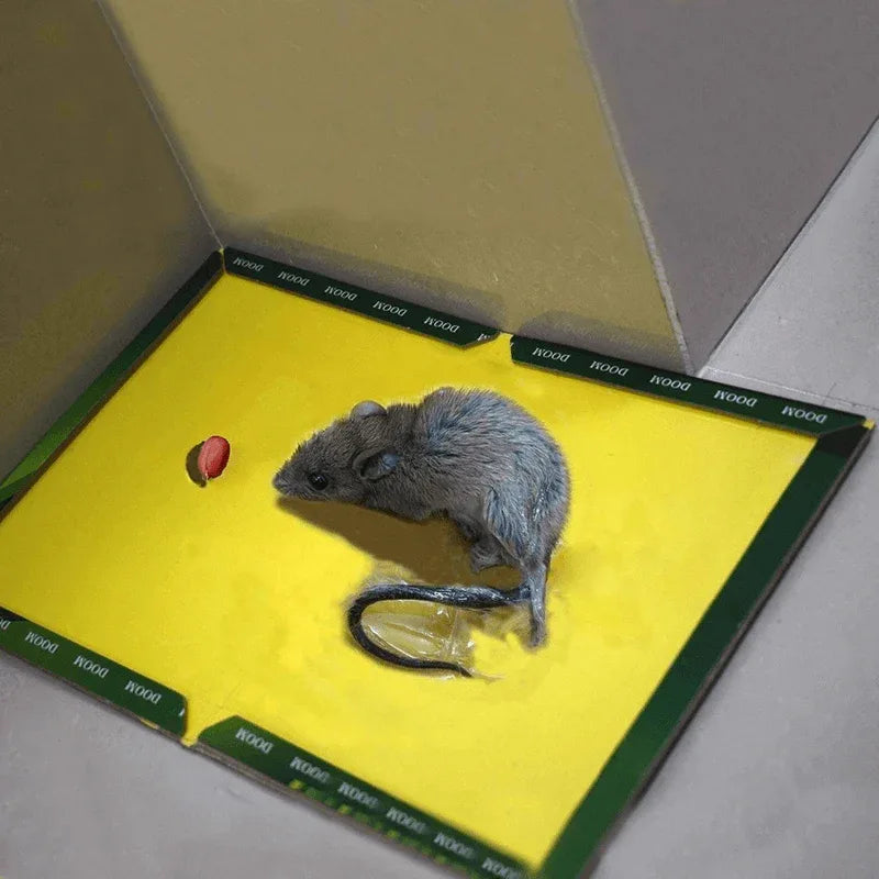 Mouse trap pack of 10 - Prozone