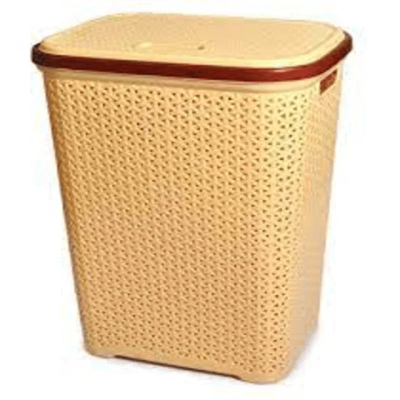 Plastic laundry basket - Prozone
