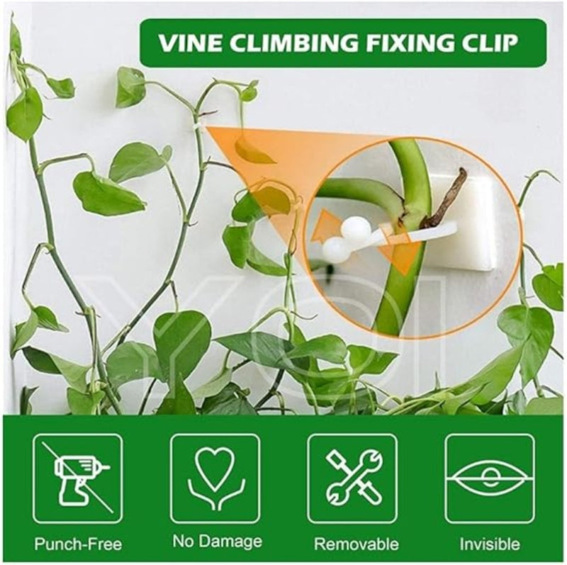 10pcs self adhesive plant climbing wall clip - Prozone