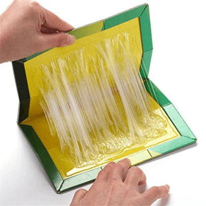 Mouse trap pack of 10 - Prozone