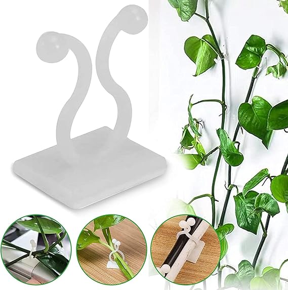 10pcs self adhesive plant climbing wall clip - Prozone