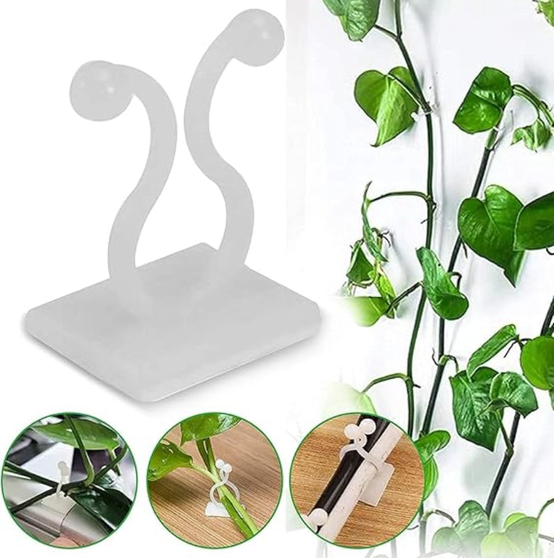 10pcs self adhesive plant climbing wall clip - Prozone