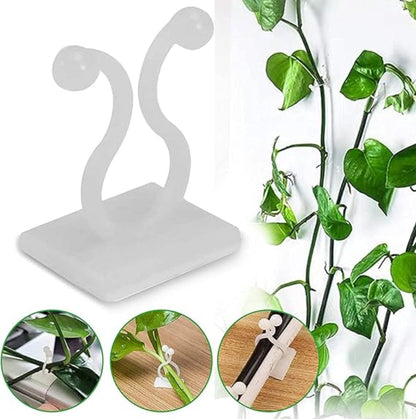 10pcs self adhesive plant climbing wall clip - Prozone