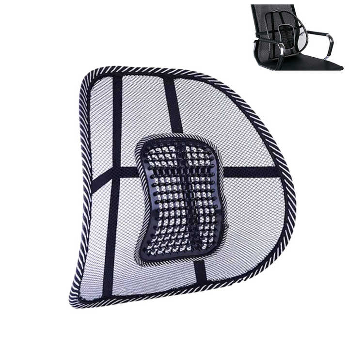 Car back support chair - Prozone