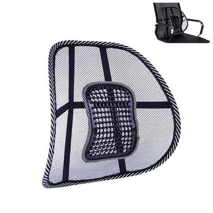 Car back support chair - Prozone