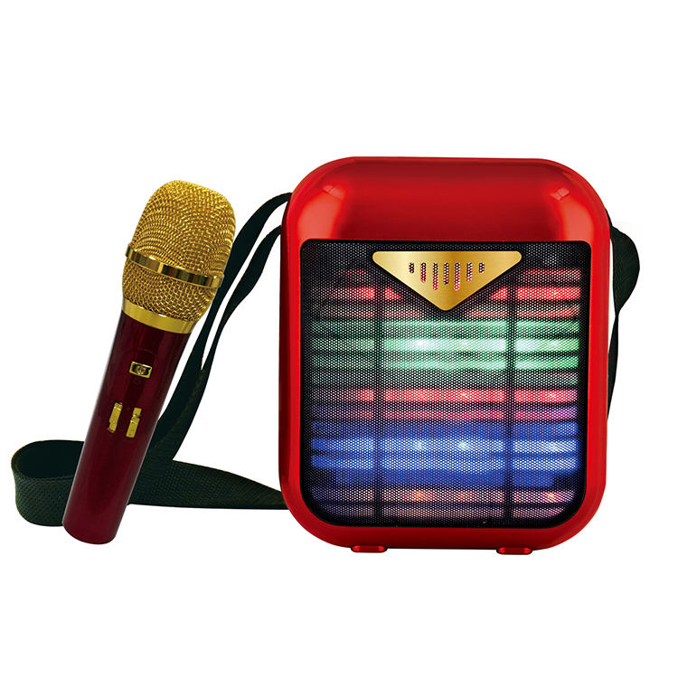 Karaoke machine with 2 wireless microphones - Prozone