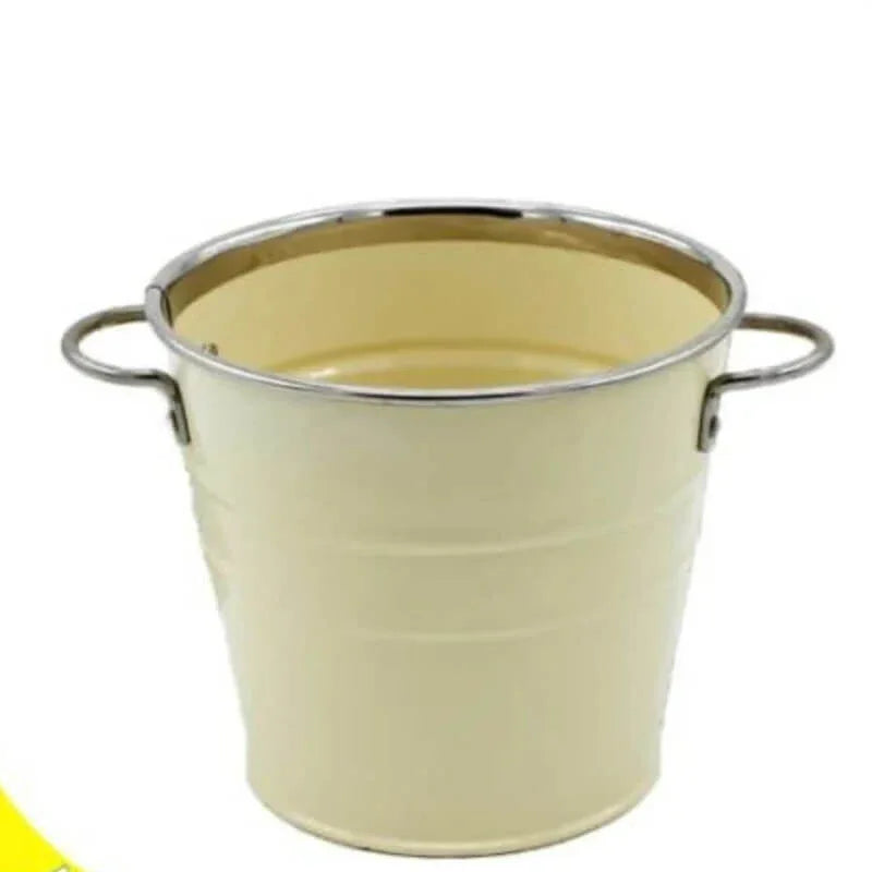 Stainless steel round flower pot with handles - Prozone