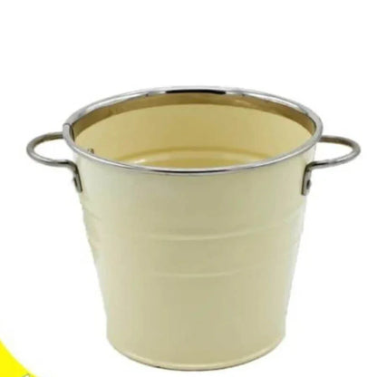 Stainless steel round flower pot with handles - Prozone