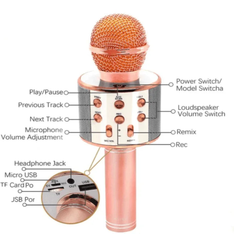 Wireless karaoke mic with speaker  - Prozone