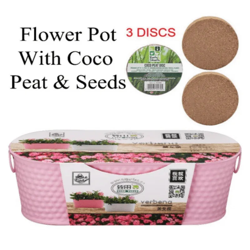 Stainless steel flower pot with coco peat n seeds - Prozone