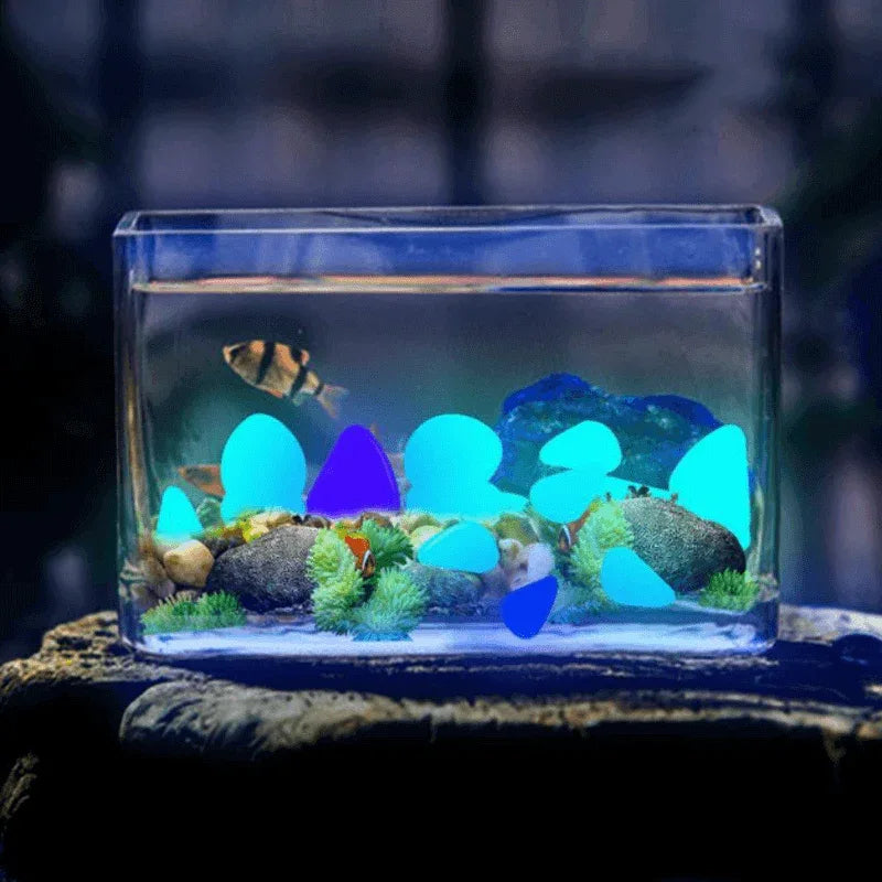 Glow in the dark fairy light pebbles for aquarium - Prozone