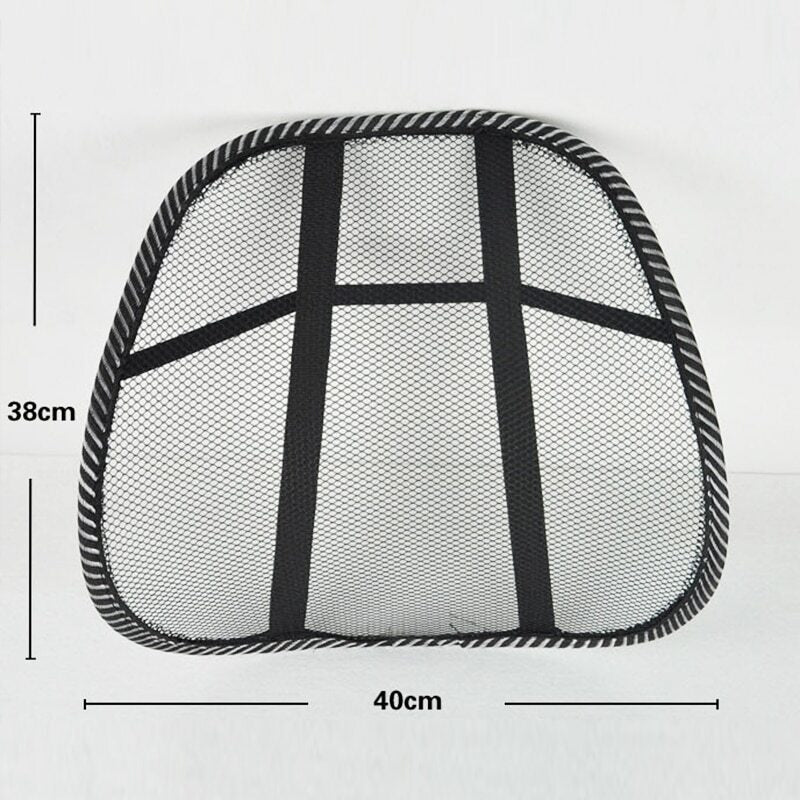 Car back support chair - Prozone