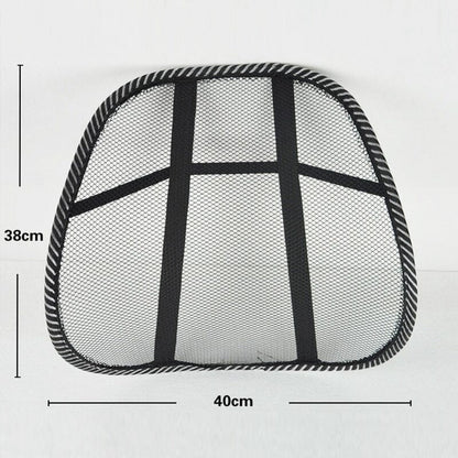 Car back support chair - Prozone