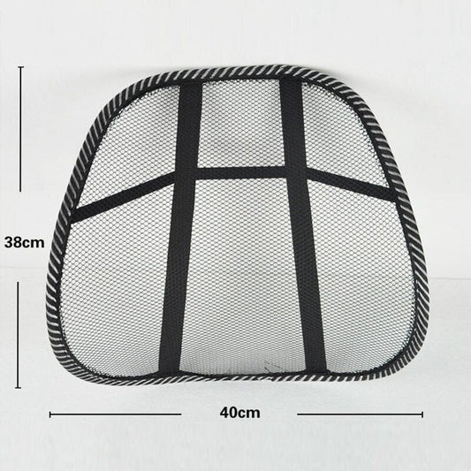 Car back support chair - Prozone