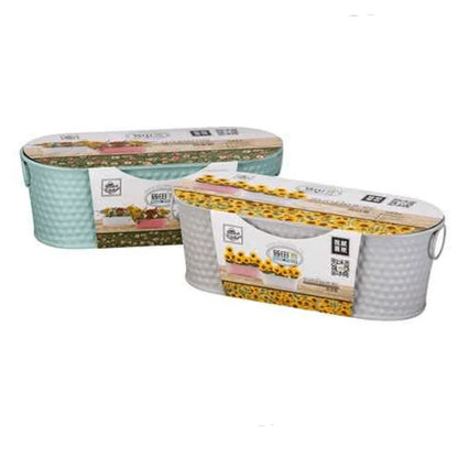 Stainless steel flower pot with coco peat n seeds - Prozone