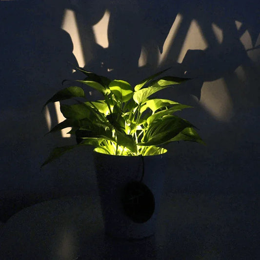 Waterproof flower pot solar light lamp - Prozone