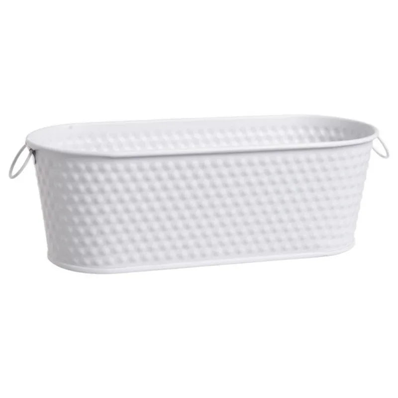 Stainless steel flower pot with coco peat n seeds - Prozone