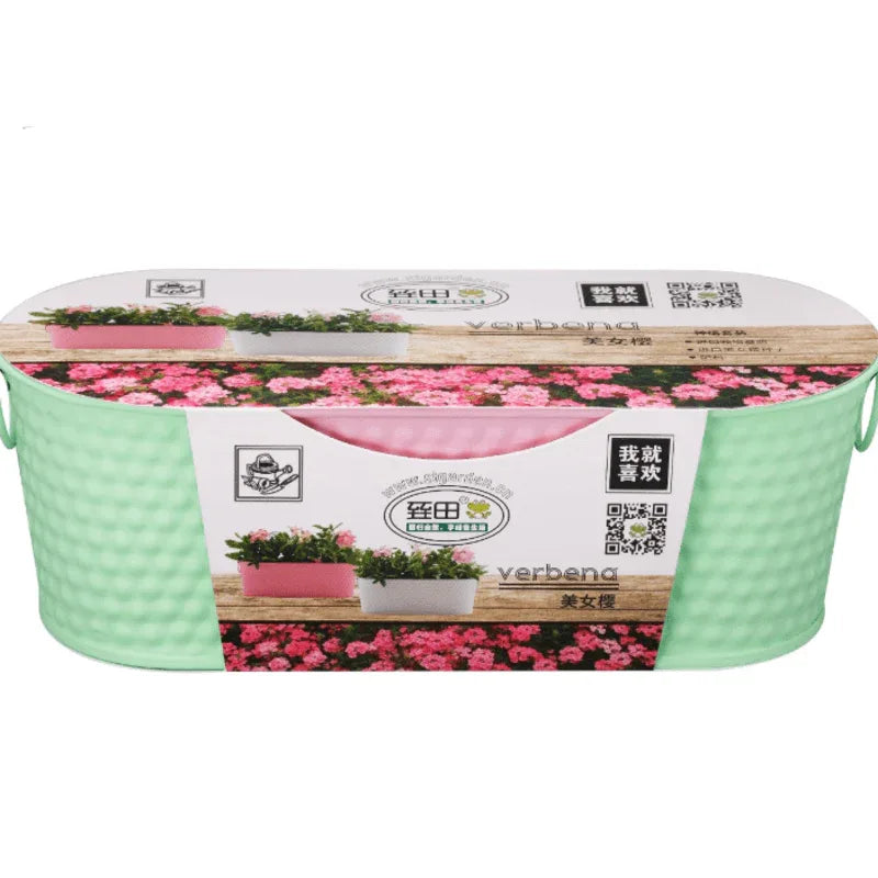 Stainless steel flower pot with coco peat n seeds - Prozone