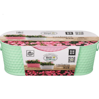 Stainless steel flower pot with coco peat n seeds - Prozone