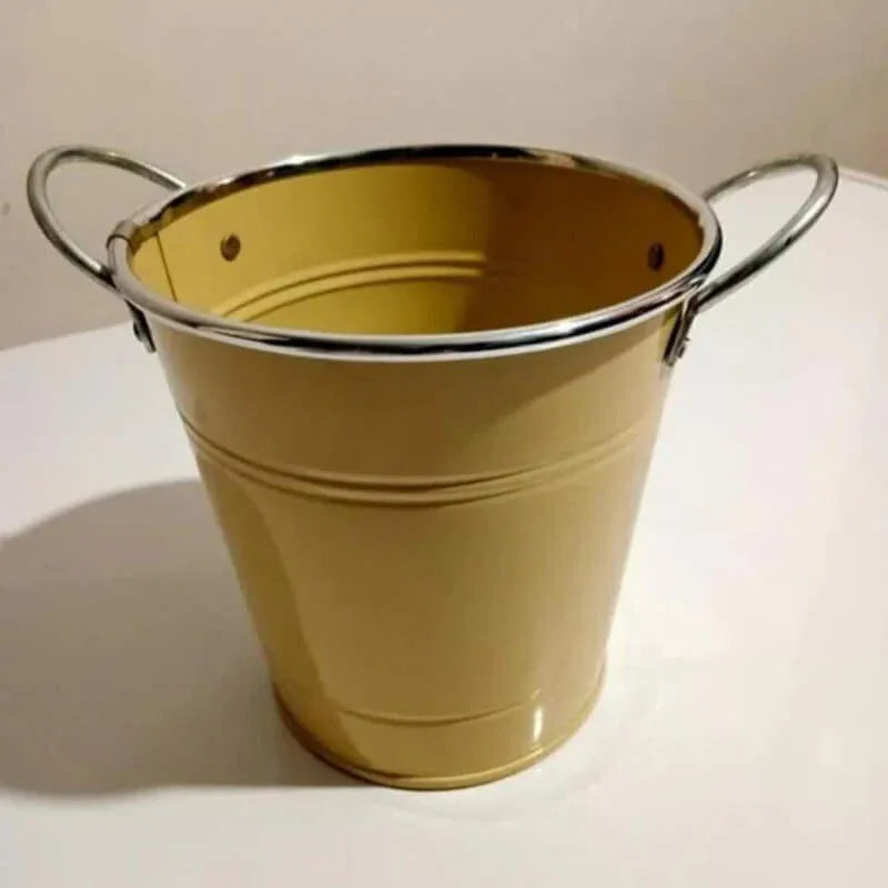 Stainless steel round flower pot with handles - Prozone