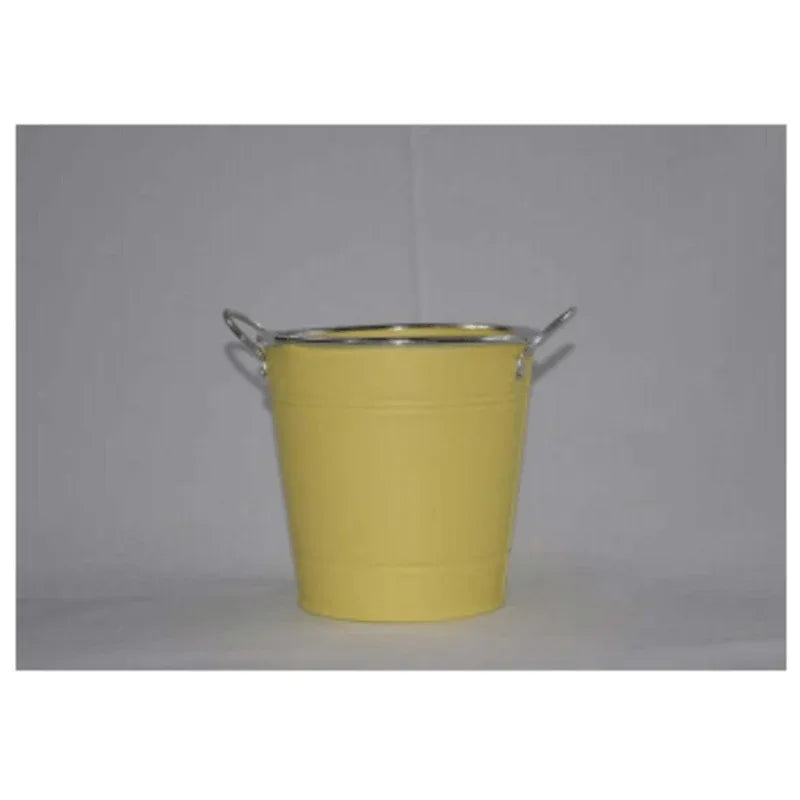 Stainless steel round flower pot with handles - Prozone