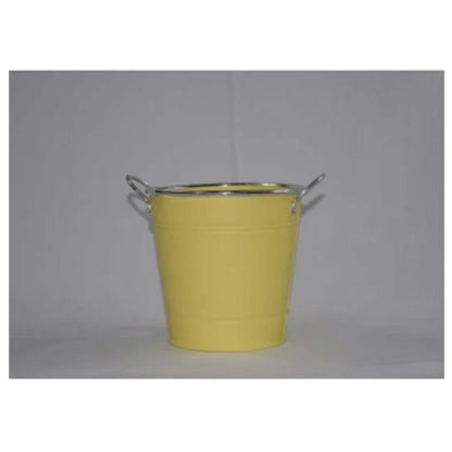 Stainless steel round flower pot with handles - Prozone