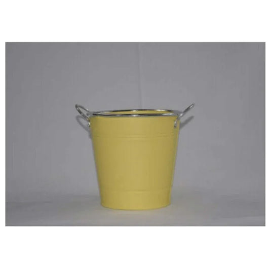 Stainless steel round flower pot with handles - Prozone