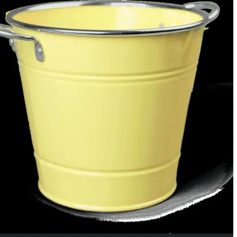 Stainless steel round flower pot with handles - Prozone
