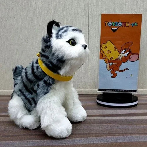 Punched face persian cat (black & grey) - Prozone