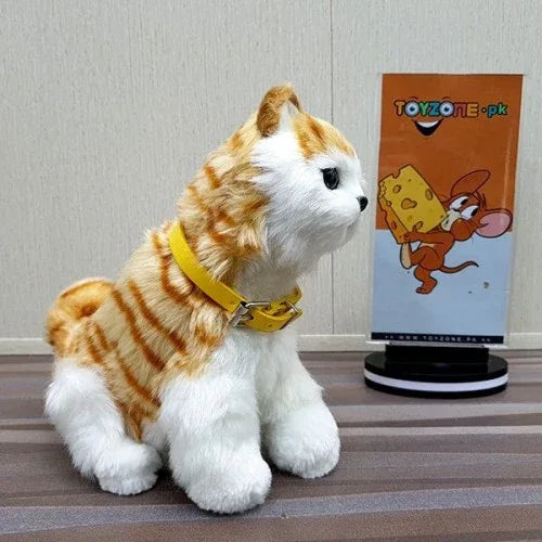 Punched face persian cat (orange and white) - Prozone