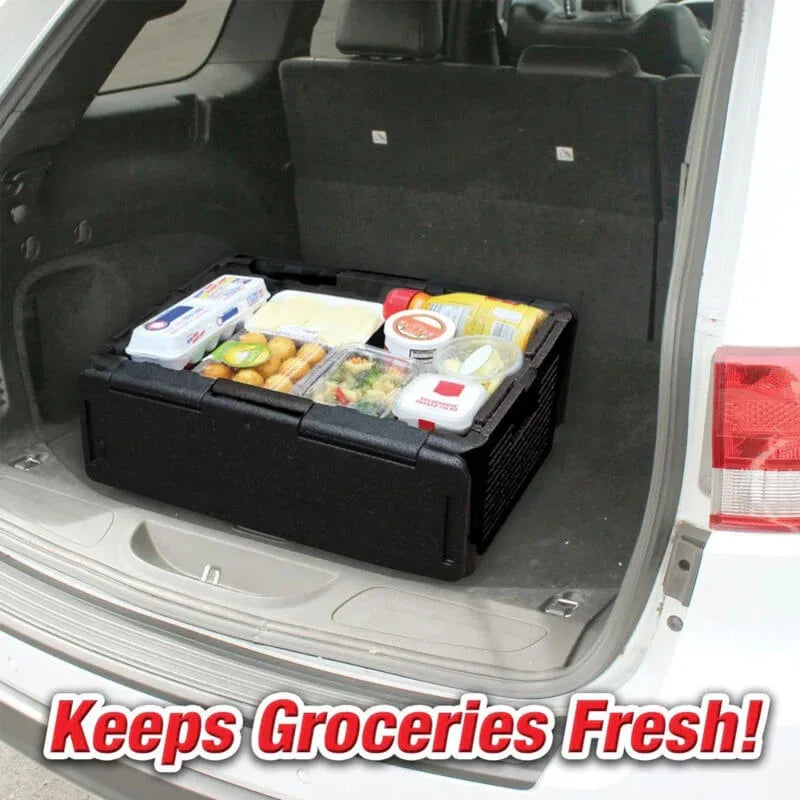Chill cooler car insulated box - black - Prozone