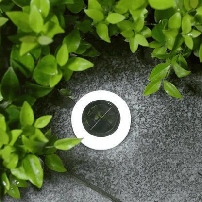 Solar underground round light - Prozone